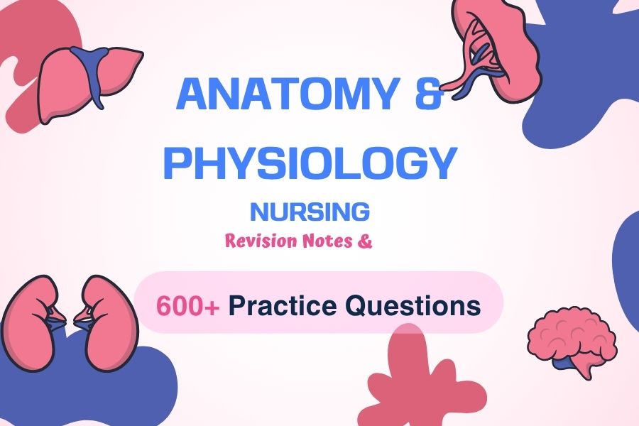 Anatomy & Physiology Nursing NCK Revision Notes & Practice Questions